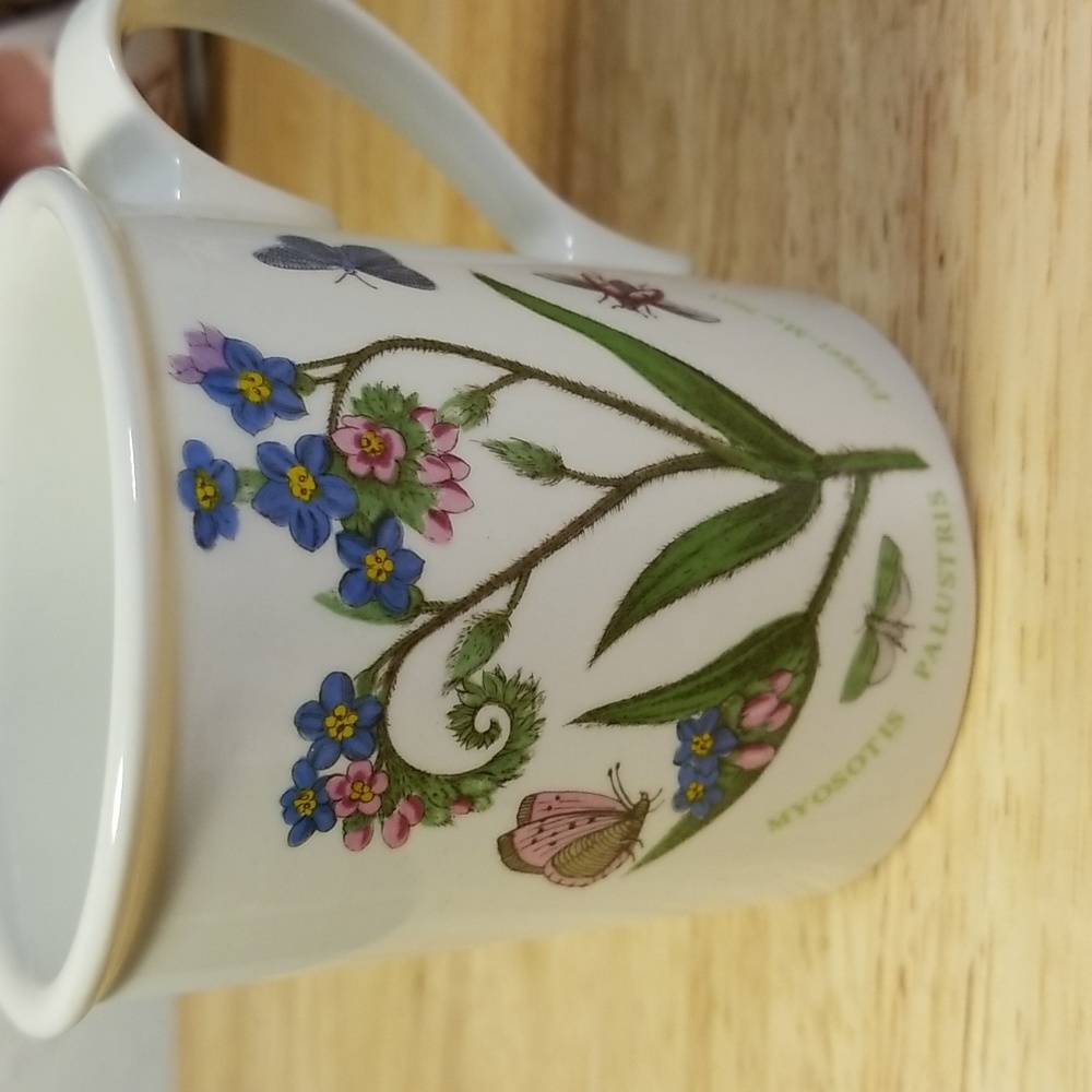 The Botanic Gardens Forgot-Me-Not English flower mug